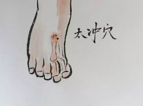 一飲一食一按,調養好五臟,防病少病痛,健康更長壽