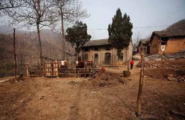 老大娘去城裡看兒子遭嫌棄,兒媳說房子是她娘家的,老大娘爆發了