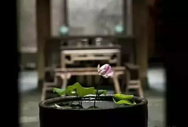 陽氣不足,原來是你的精氣神從這五個地方漏掉了!