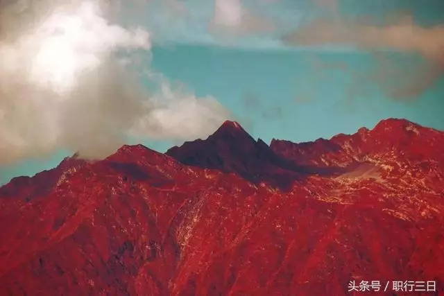 來自哈佛的20個建議:不亂於心,方能不畏將來