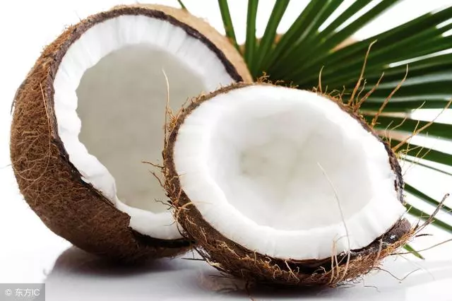 狗狗最喜歡什麼氣味?這些氣味原來才是狗狗鍾愛的味道
