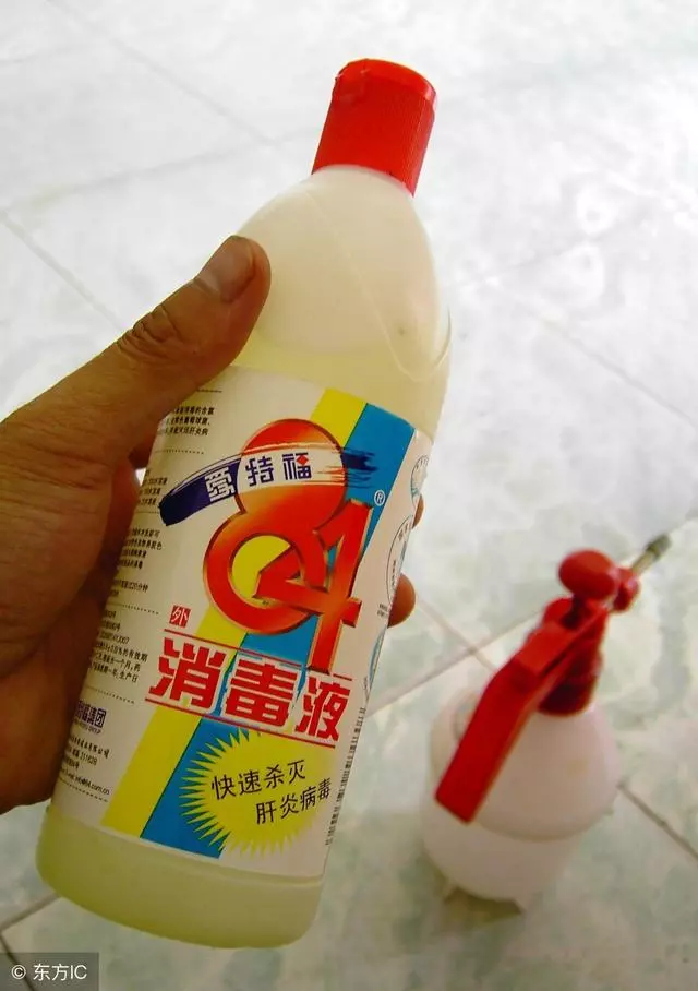 貓:我討厭世間80%的味道,但喜歡你