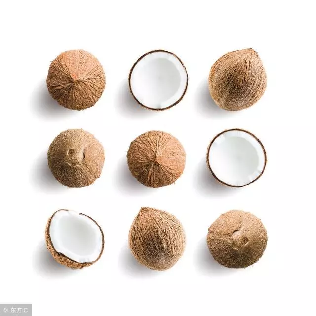 貓:我討厭世間80%的味道,但喜歡你