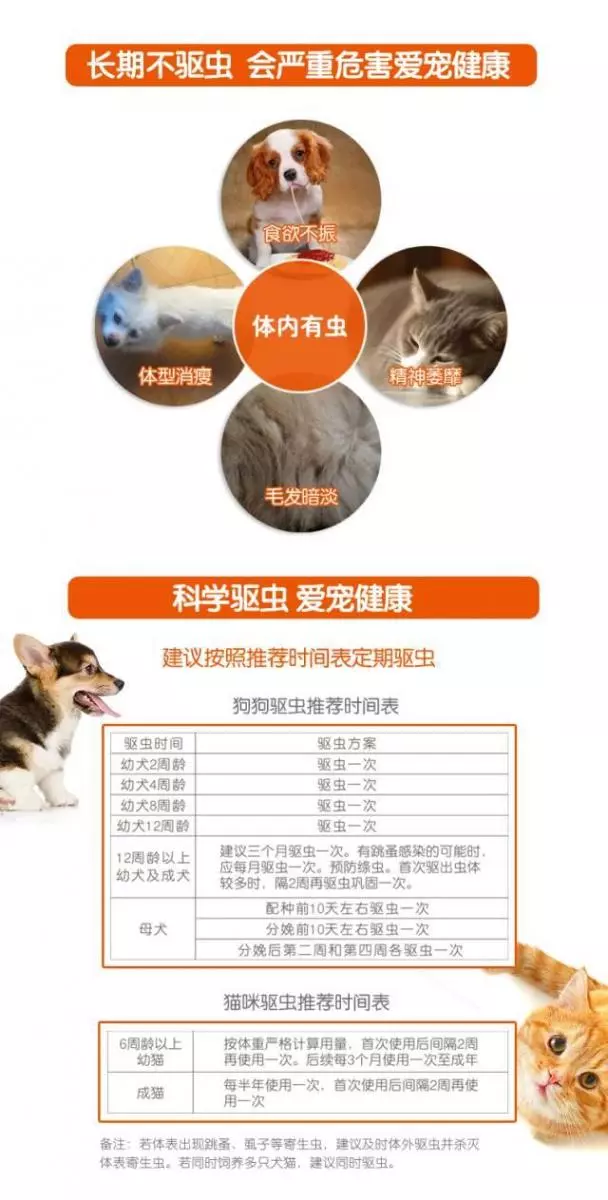 養寵長期不驅蟲,究竟有多可怕?