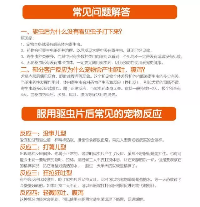 養寵長期不驅蟲,究竟有多可怕?