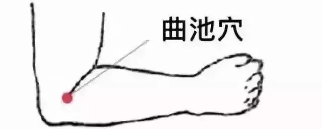 疾病大多是「堵」出來的,最好的疏通法都在這裡,簡單實用!