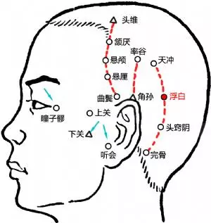 白髮不斷地增多,這個穴位治一下,少一根,再治,再少