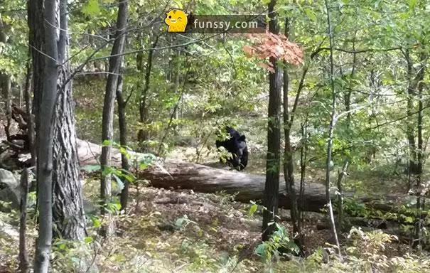 珍惜眼前事物!29張「看起來很和諧但確是死神到來前一刻」的照片