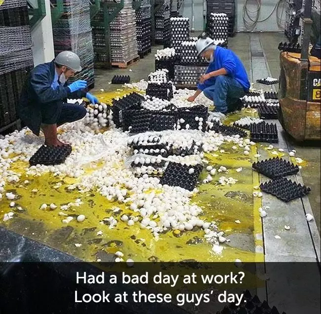 我以為我已經很衰了,沒想到他們...更衰!#雖然很壞但看完心情卻超好的!
