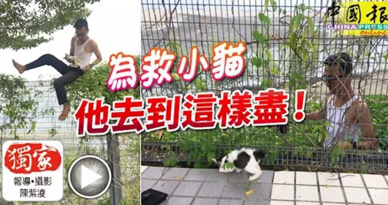 為救小貓,他去到這樣盡!「救貓哥」獲不少網民大讚!