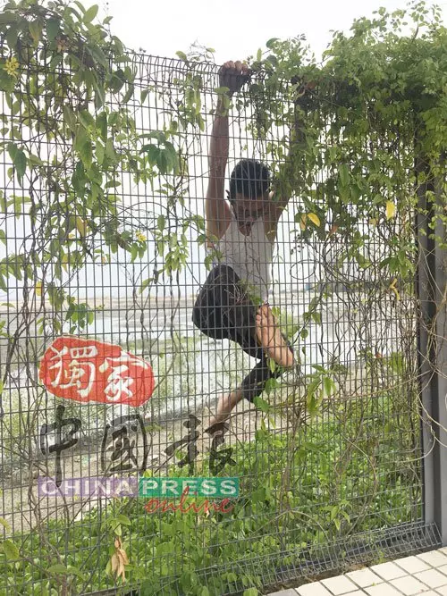 為救小貓,他去到這樣盡!「救貓哥」獲不少網民大讚!