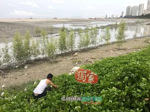 為救小貓,他去到這樣盡!「救貓哥」獲不少網民大讚!