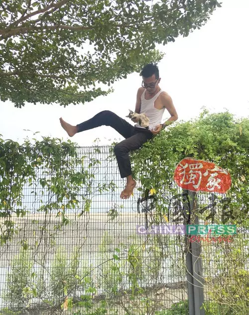 為救小貓,他去到這樣盡!「救貓哥」獲不少網民大讚!