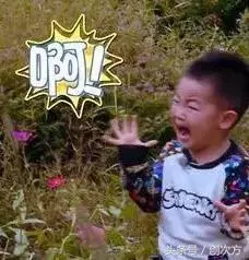 人類無法阻止充電寶了!有水流就能發電,戶外探險神器