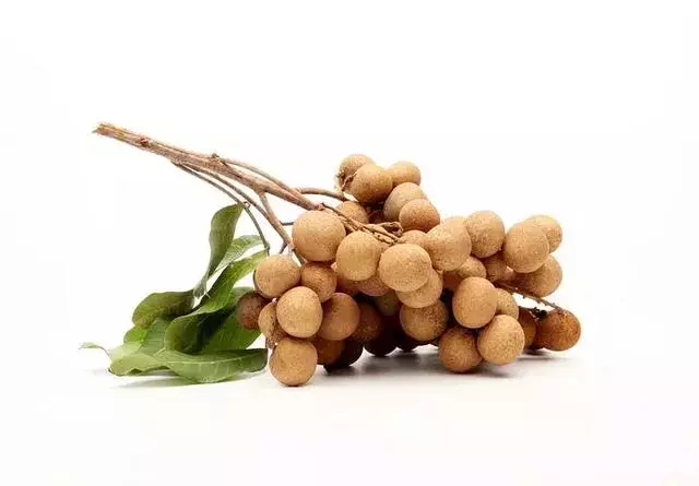 十一種純素食做法,幫你補氣補血!人人都吃得起