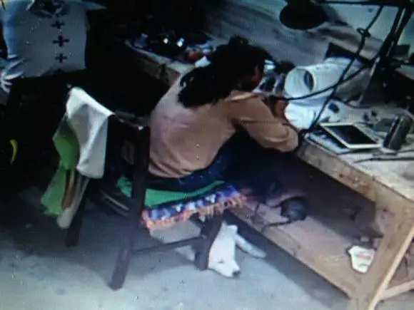 狗狗和病豬同養,吃髒豬食,對路人哭泣乞求,一年後命運反轉