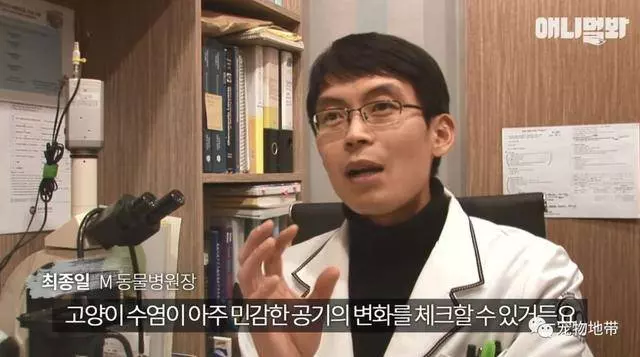 好心大叔收養受傷流浪貓 之後貓咪竟成了他的救命恩人