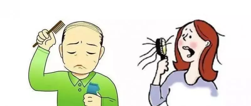 不想一禿再禿?毛囊養護學起來! - Q博士