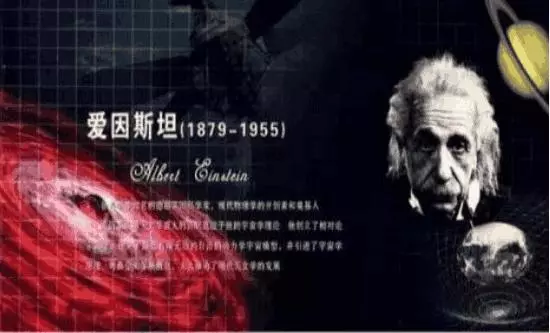 愛因斯坦絕密手記曾預言,蜜蜂一旦消失,人類或只剩4年時間