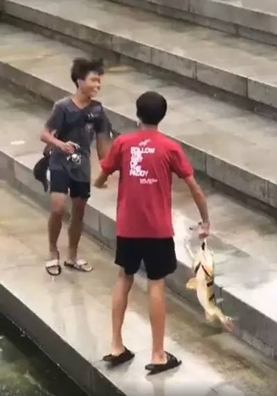 獅城少年新娛樂 魚尾獅下釣大魚