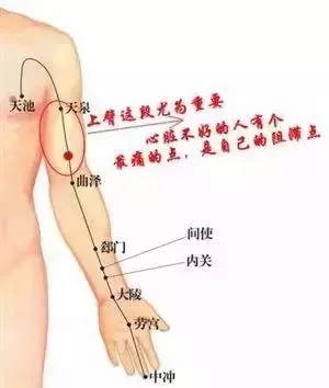 一個星期刮一遍,經絡通暢百病消