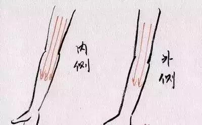 全身各處的具體刮痧方法,請牢記!