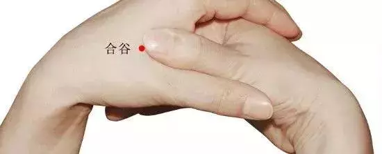 人體有個「大藥箱」,小病小痛按按它