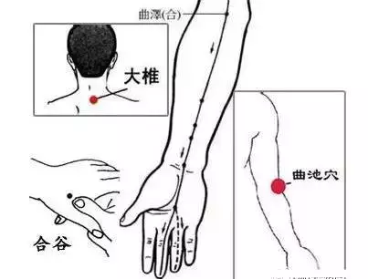 人體有個「大藥箱」,小病小痛按按它