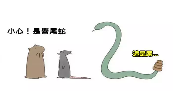 11張可愛又幽默的呆萌動物爆笑漫畫 
