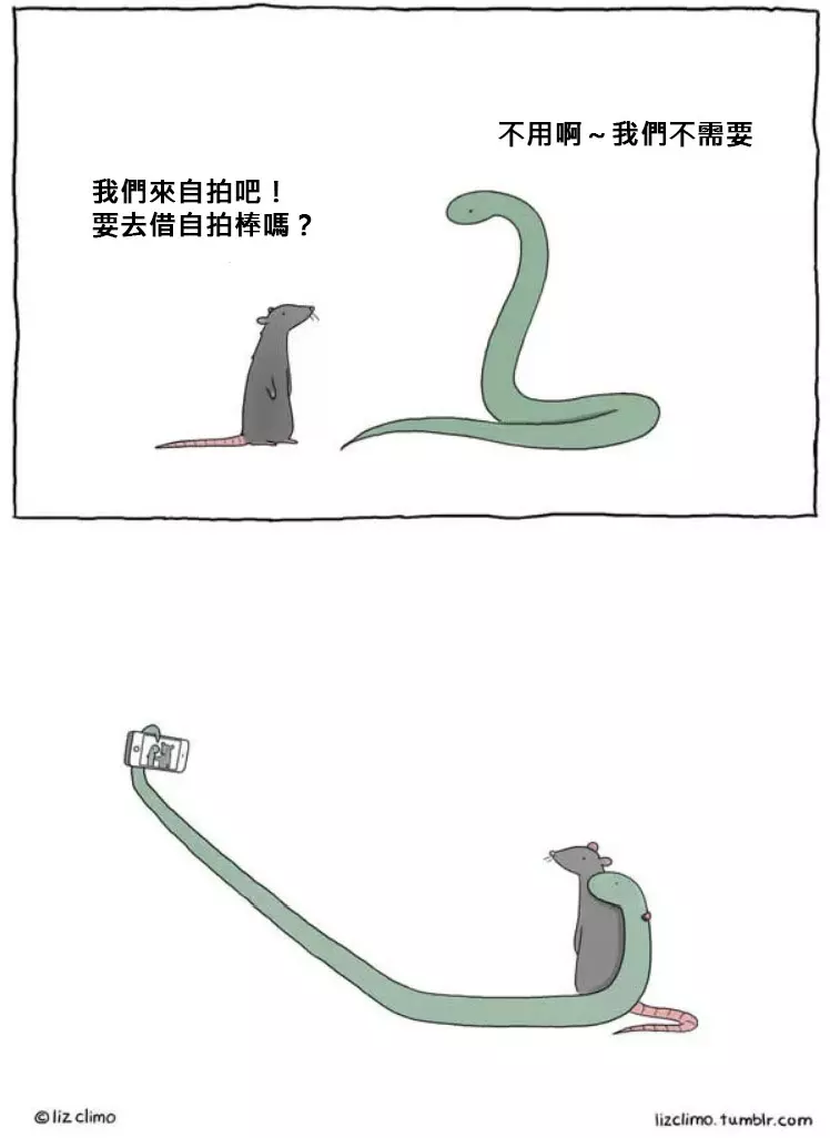11張可愛又幽默的呆萌動物爆笑漫畫 