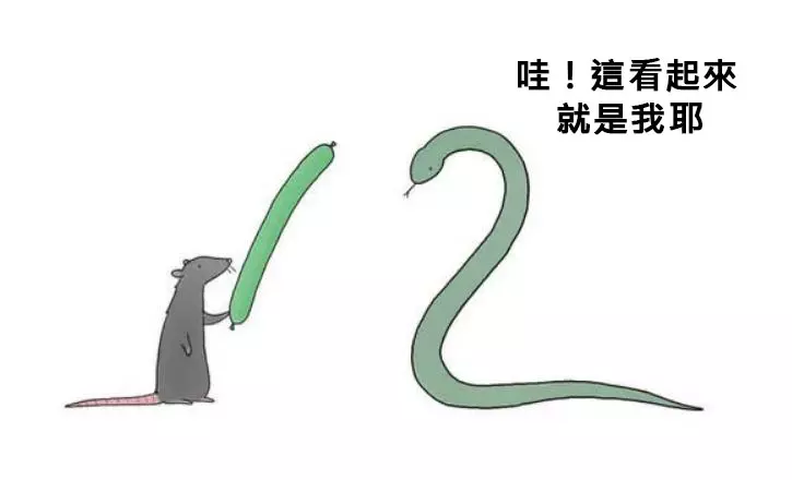 11張可愛又幽默的呆萌動物爆笑漫畫 