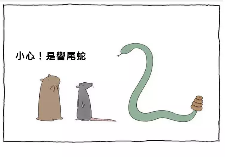 11張可愛又幽默的呆萌動物爆笑漫畫 