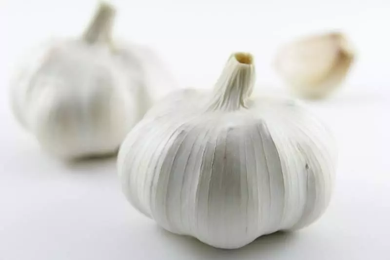 身為王室一員沒那麼簡單的!「英國皇室的飲食禁忌」