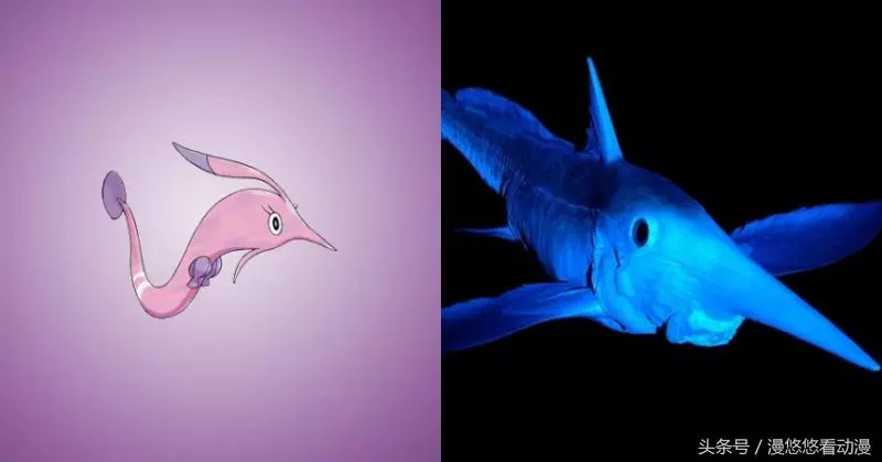 6種「真實存在世上」的寶可夢生物 #4 真實版「鯉魚王」原來比動畫版長得還......
