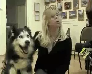 30種「可愛小動物們的第一次體驗」爆笑場景,牠們超療癒的反應會讓你瞬間升天!