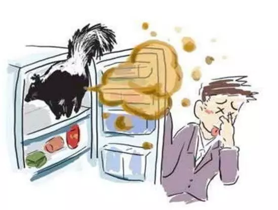 教你用神奇妙招去除冰箱怪味 太棒了