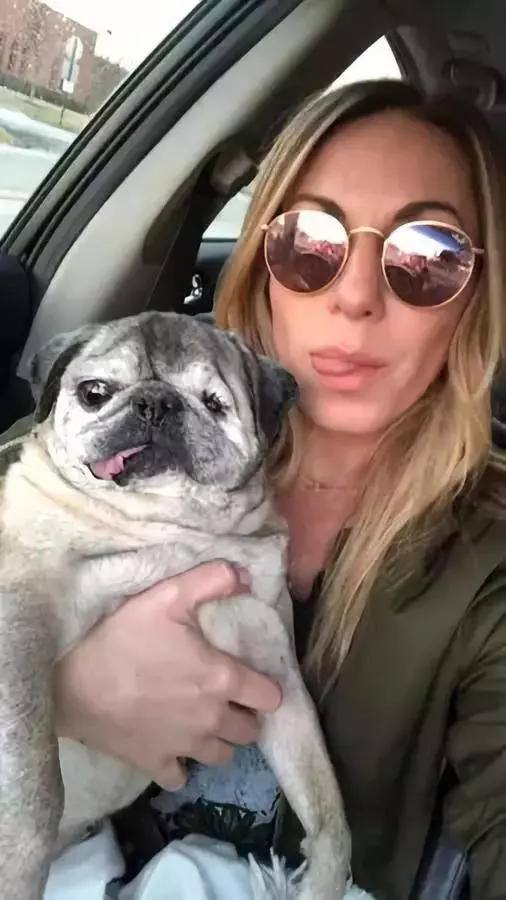 繁殖犬年老被拋棄,用玩偶代替失去的孩子