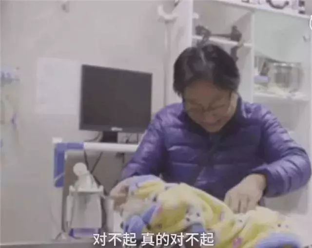 養了18年的狗被主人安樂死了……