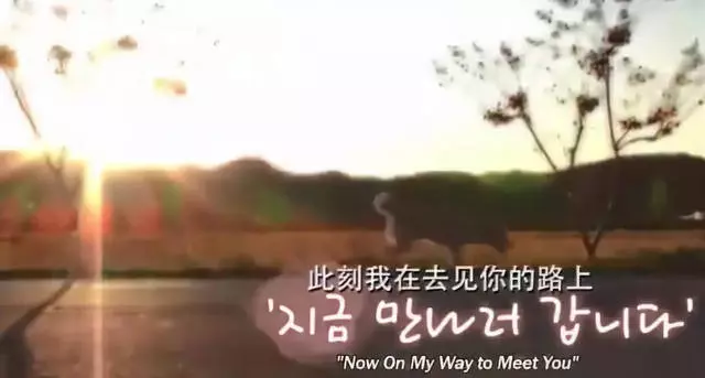 狗狗每天翻山越嶺7公里,到底為了什麼?