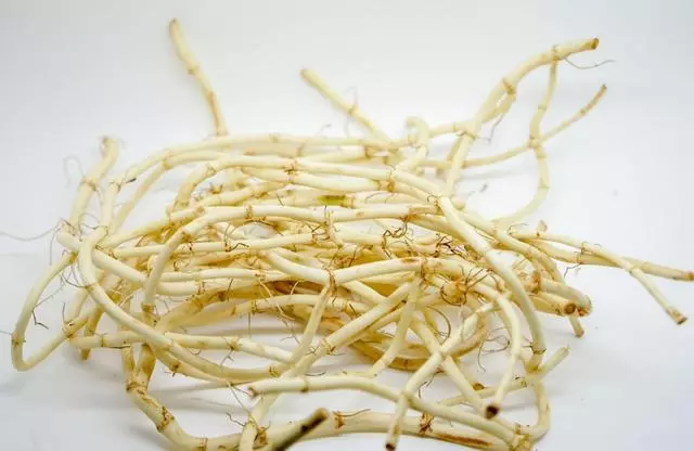 這「6大最難吃蔬菜」,每一個都是治病高手,不吃太虧了~