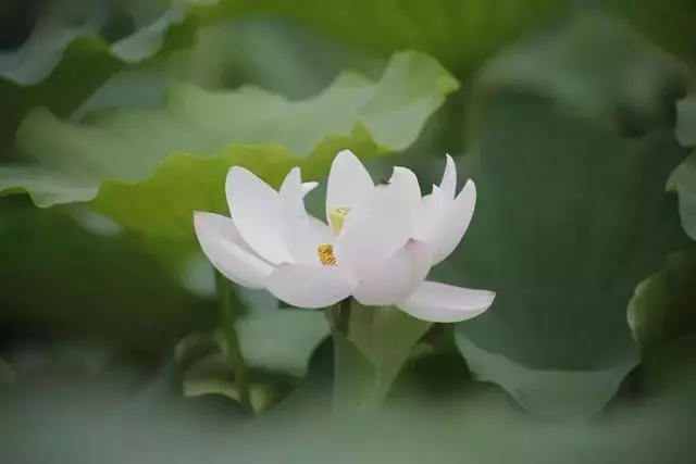 去靠近一個給你正能量的人