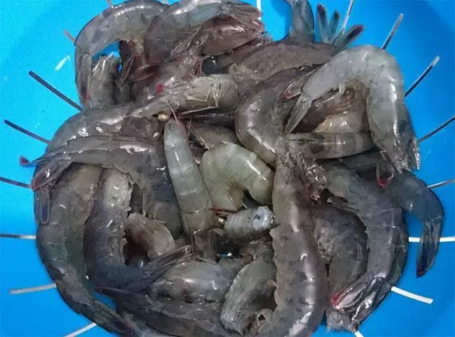 醫生忠告:別再吃此8種食物了!寄生蟲最多,會傷害神經系統,能不吃就不吃!