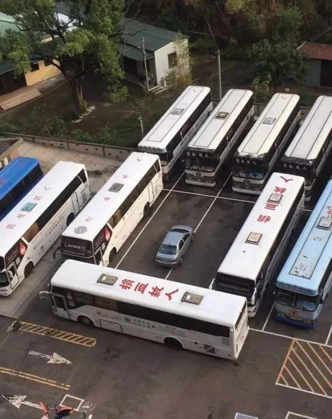 20個下一秒如果回答錯就有生命危險的倒楣一瞬間,大哥我只是想停個車啊
