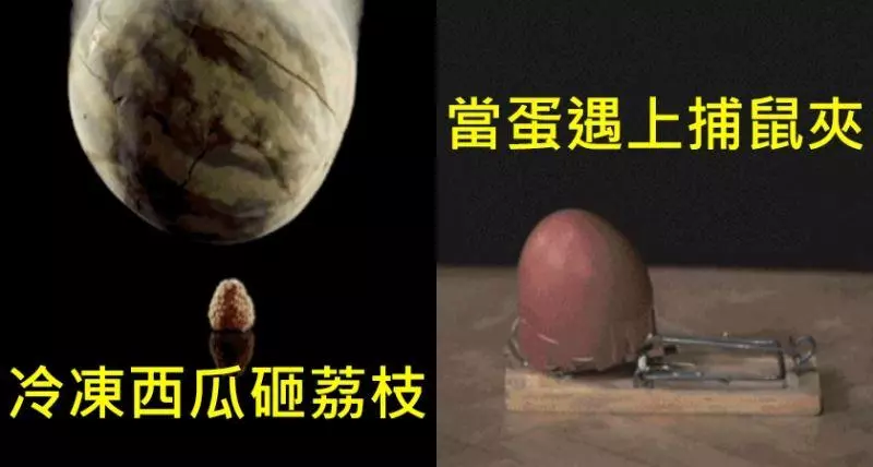 10個就算「花上百萬也看不到半次」的限定一瞬間,「下一秒的畫面」即將帶給你重新出生的體驗。