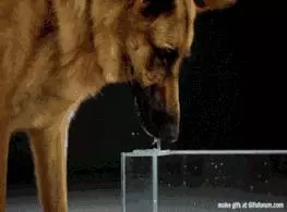 10個就算「花上百萬也看不到半次」的限定一瞬間,「下一秒的畫面」即將帶給你重新出生的體驗。