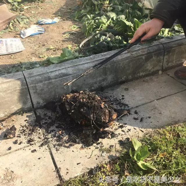 一個叫花雞竟然有13種做法?正版洪七公叫花雞的做法是這款!