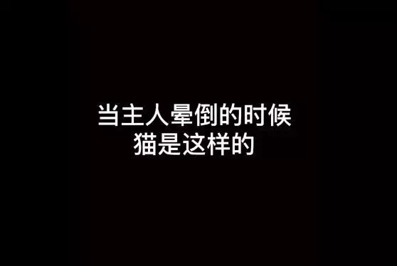 當主人暈倒的時候,金毛的反應讓人暖心,而貓的表現反轉得太扎心