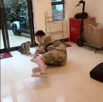 當主人暈倒的時候,金毛的反應讓人暖心,而貓的表現反轉得太扎心