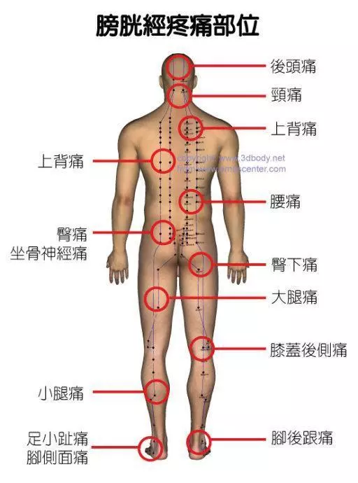 經絡通不通,就看這7個字!中醫只用一招:經絡通暢百病消!