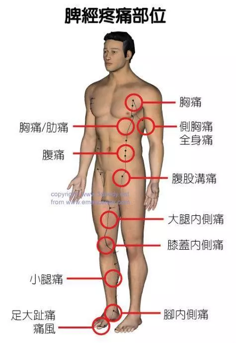 經絡通不通,就看這7個字!中醫只用一招:經絡通暢百病消!